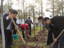 ������(ji��)ֲ��