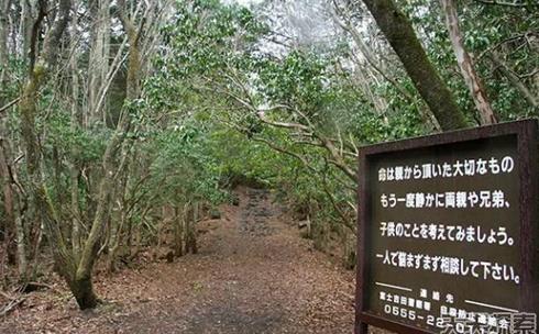 ȫ����׃�B(t��i)��10��(g��)�ط�����^��(du��)����ȥ��